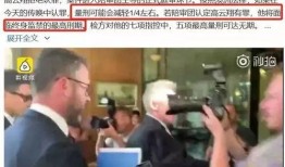 瑞平爆料澳洲校长视频播放,澳洲校长视频播放背后的真相